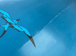 �o�[�z�[�� �G�|�L�V �h�i���h�E�^�J���} mid 1_3